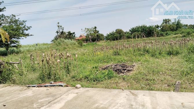 BÁN ĐẤT THÔN PHÚ VÂN, ĐIỆN QUANG, ĐIỆN BÀN, QUẢNG NAM, 100 M2, NGANG 6.4 M, 560 TRIỆU - 3