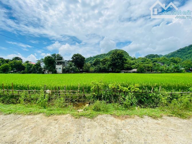 1066m Có 200m Đất Ở - View Cánh Đồng Bám Đường Bê Tông 26m - Sát Dự Án Sun Kim Bôi - 4