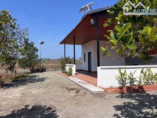 CẦN BÁN NHÀ VƯỜN CÂY ĂN TRÁI ĐÃ THU HOẠCH,ĐẸP,MÁT MẺ CẠNH HỒ NƯỚC LỚN, CÁCH BIỂN 20km - 4