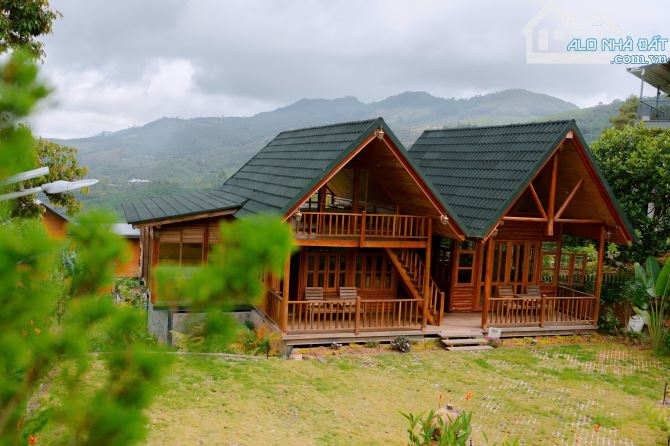 Trốn phố tìm mây, sở hữu 1000m2 đất nền nghỉ dưỡng tại Bảo Lộc - 4