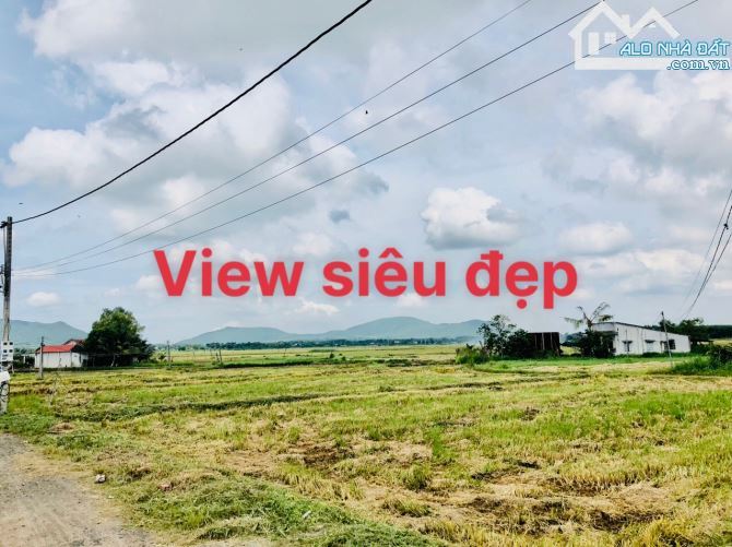 🌄 VIEW ĐẸP QUÁ – ĐẤT 1150M² GẦN BIỂN VÀ QUẢNG TRƯỜNG PHƯỚC HẢI - 4
