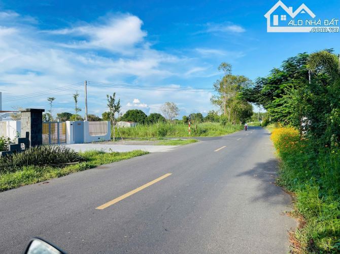🌿 LÔ ĐẤT BIỆT THỰ VƯỜN ĐẸP TT PHƯỚC HẢI – 612.8M², GIÁ 4.3 TỶ - 4
