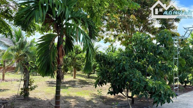 🌳 SIÊU ĐẸP – ĐẤT XÃ PHƯỚC HẢI TP HCM, CÁCH BIỂN CHỈ 3KM – 1000M² GIÁ 5 TỶ - 4