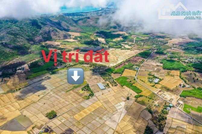🌿 BÁN ĐẤT TT PHƯỚC HẢI – VIEW NÚI, GẦN BIỂN, 689.5M² – GIÁ 4.2 TỶ - 4
