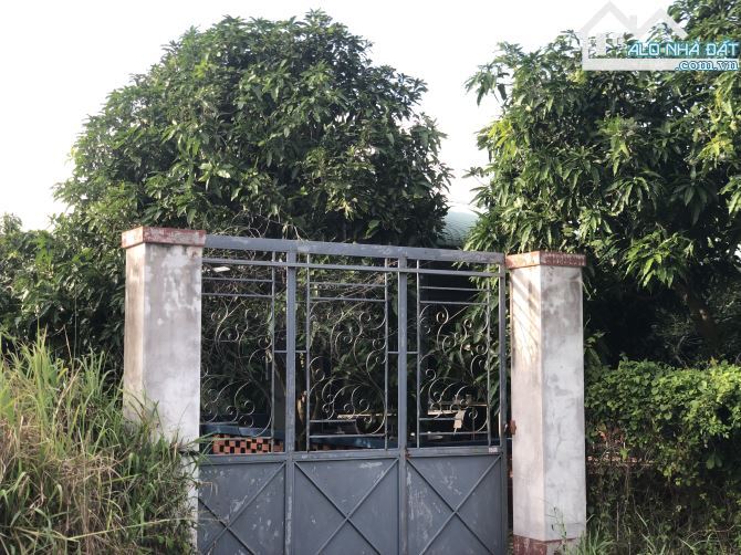 🌿 Bán Đất Long Mỹ - Đất Đỏ BRVT, Sát Nhập Thị Trấn Phước Hải, View Hồ Sở Bông - 4