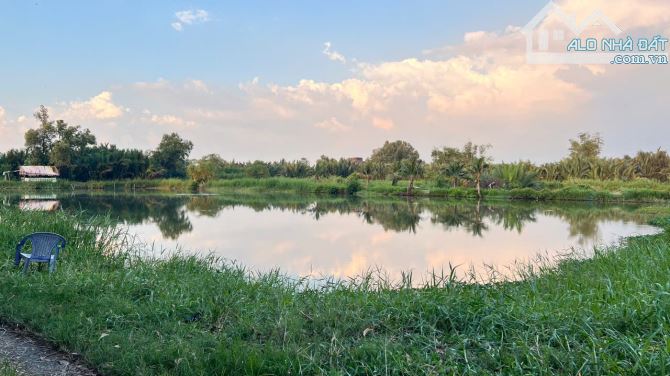Bán 4500m2 đất Lúa - Gần cầu cây khô - Cách Nguyễn Bình 120m..... - 4