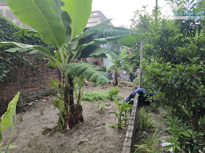 🔥BÁN 70M THÔN ĐÔNG – VIỆT HÙNG ĐÔNG ANH - VỊ TRÍ VÀNG – ĐẦU TƯ SINH LỜI CỰC TỐT🔥 - 4