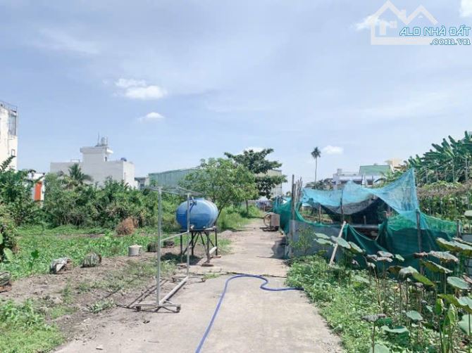 APD(TX-Q.12) bán lô đất 93m2 (5x18,6) HXH gần Thạnh Lộc 41 giá 3tỷ. - 4