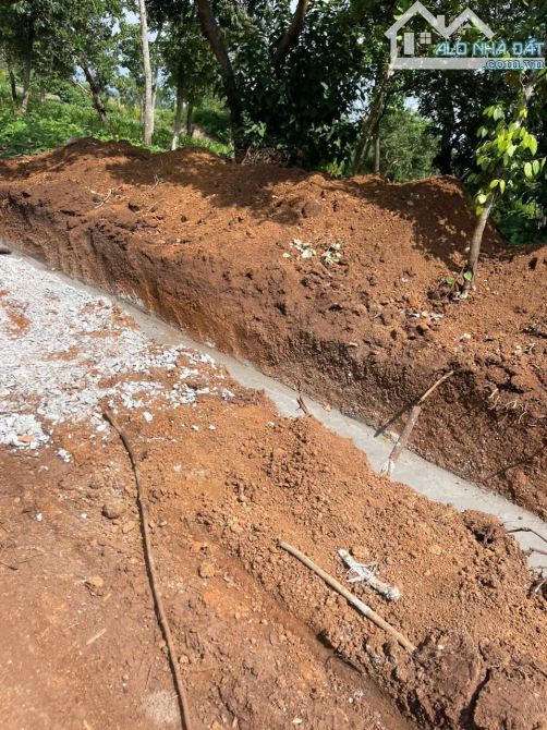 CẦN TIỀN HẠ GIÁ BÁN CÒN 675Triệu ĐẤT 1.7SÀO CƯSUE 2 MẶT ĐƯỜNG GIÁP KHU DÂN CƯ - 4