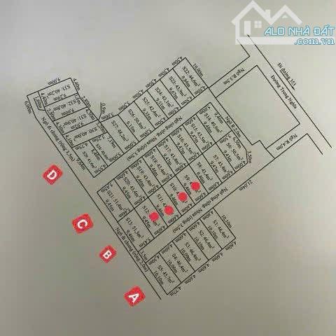 Chính chủ gửi bán lô đất tại Nam Đồ Sơn Hải Phòng - 4