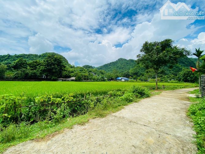 1066m Có 200m Đất Ở - View Cánh Đồng Bám Đường Bê Tông 26m - Sát Dự Án Sun Kim Bôi - 5