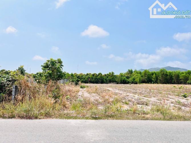 🌄 Bán đất 1800m² Thị trấn Phước Hải, view núi Minh Đạm, gần biển, giá 5.8 tỷ - 5