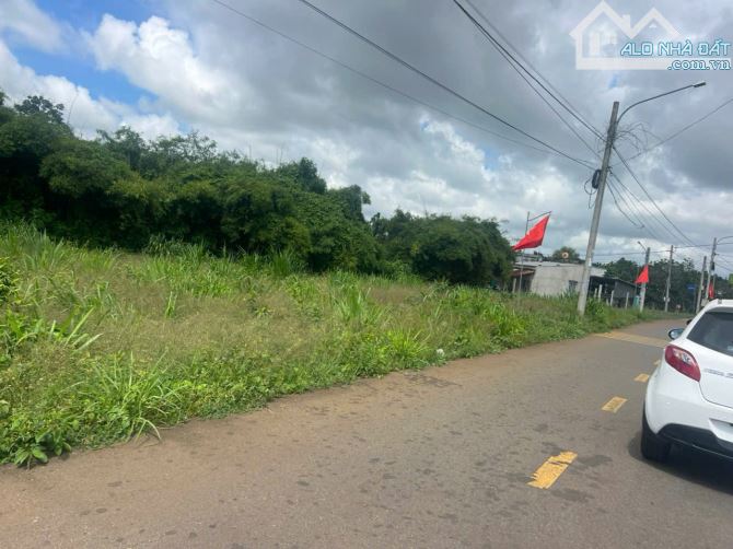 BÁN ĐẤT MẶT TIỀN NHỰA TRỊNH HOÀI ĐỨC- SAU TRƯỜNG CAO ĐẲNG TRUNG TÂM TT ĐẤT ĐỎ. TIỆN ÍC - 5