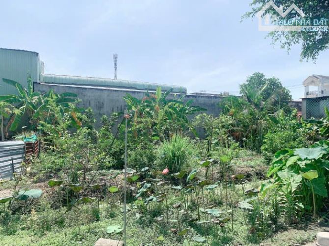 APD(TX-Q.12) bán lô đất 93m2 (5x18,6) HXH gần Thạnh Lộc 41 giá 3tỷ. - 5