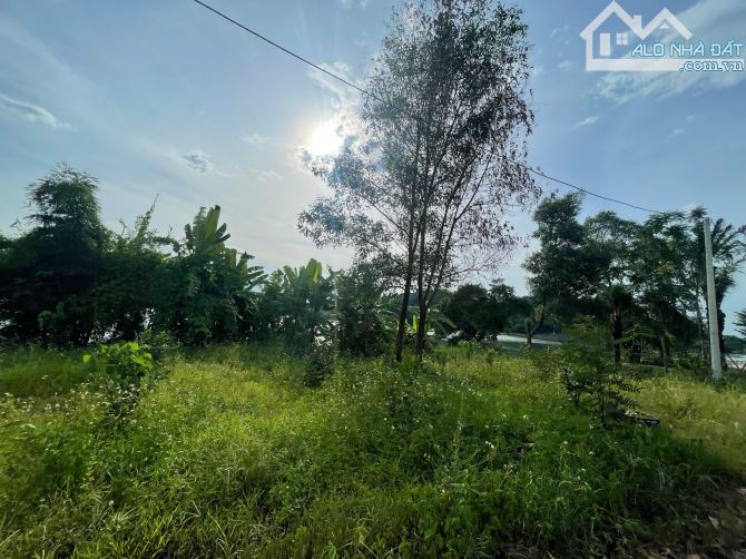 1000m2 đất View SÔNG HƯƠNG - phù hợp những ý tưởng VILLA, HOMESTAY, NGHỈ DƯỠNG, MINI FARM - 6