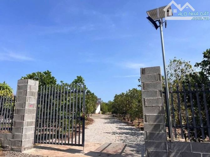 CẦN BÁN NHÀ VƯỜN CÂY ĂN TRÁI ĐÃ THU HOẠCH,ĐẸP,MÁT MẺ CẠNH HỒ NƯỚC LỚN, CÁCH BIỂN 20km - 6