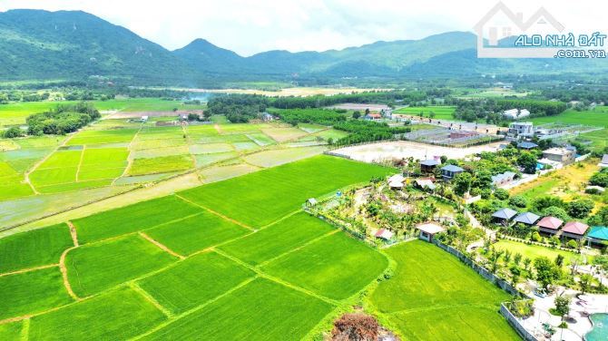 🏞️ ĐẤT PHƯỚC HẢI TP HCM – VỊ TRÍ ĐẮC ĐỊA, VIEW NÚI MINH ĐẠM – GIÁ 4.3 TỶ - 6