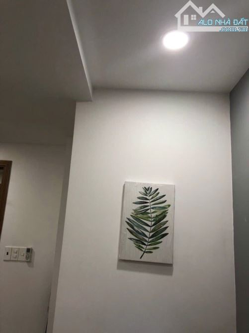 Bán Tòa Nhà CHDV Trung Tâm Q.1. 10,3m x 16,7m. Hầm 7Tầng HĐT 235tr/th Giá 51,Tỷ TL - 6