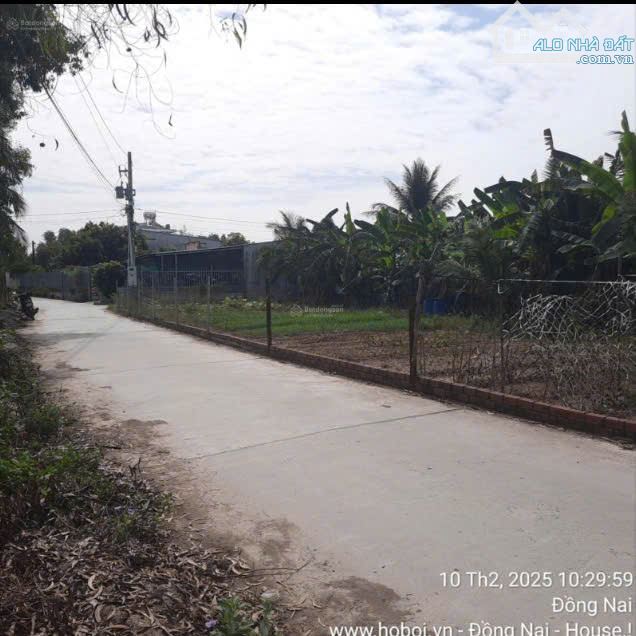 Bán gấp đất nhà vườn thổ Phú Hữu Nhơn Trạch giá rẻ 1,6tr/m. SR chính chủ.GỌI NGAY 24/24H - 6