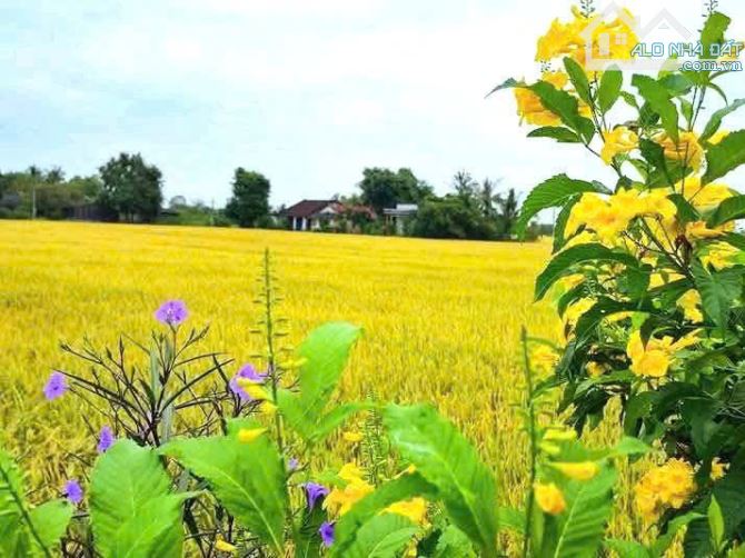 Siêu phẩm, 1640m2 đất chuyển thổ 2 mặt tiền cực đẹp, chỉ 900tr - 6