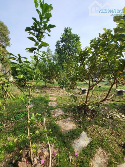 Bán đất có sẵn biệt thự vườn 2.031m2 (trong đó có gần 200m2 thổ cư) xã Đa Phước, BC - 6