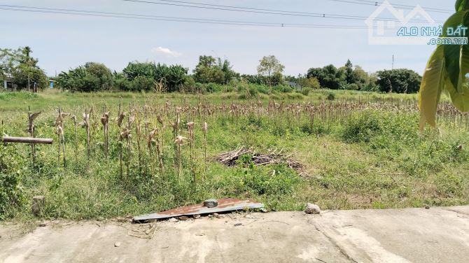 BÁN ĐẤT THÔN PHÚ VÂN, ĐIỆN QUANG, ĐIỆN BÀN, QUẢNG NAM, 100 M2, NGANG 6.4 M, 560 TRIỆU - 6