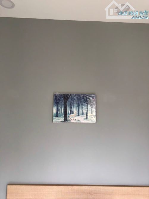 Bán Tòa Nhà CHDV Trung Tâm Q.1. 10,3m x 16,7m. Hầm 7Tầng HĐT 235tr/th Giá 51,Tỷ TL - 7