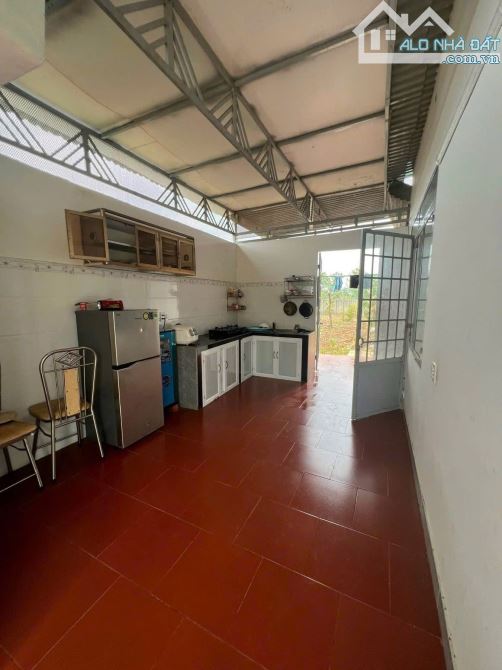 BÁN NHÀ VƯỜN 6.5 SÀO VIEW RUỘNG XÃ HOÀ KHÁNH TP BMT - 8