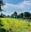 🌴 Bán đất 1055m² gần biển Phước Hải, cách TL44B 100m, giá chỉ 3,3 tỷ 🌊