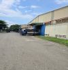 Cho thuê kho xưởng 8000m2 (xd: 4900m2) KCN Tân Đức - Tân Đô, Đức Hòa. Có PCCC tự động