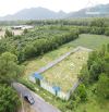 🏡 Bán đất 1000m² TT Phước Hải, mặt tiền nhựa, rào kiên cố, giá 5.3 tỷ