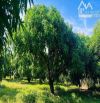 🌿 Bán Đất Long Mỹ - Đất Đỏ BRVT, Sát Nhập Thị Trấn Phước Hải, View Hồ Sở Bông