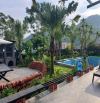 Bán VILLA nghỉ dưỡng 800m, cho thuê tạo dòng tiền - Xã Liên Sơn (Lương sơn - HB)