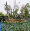 Sở hữu ngay biệt thự độc bản tại Thanh Xuân Valley, cách trung tâm Hà Nội chỉ 40