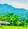 Bán 6890m2 đất Ao Vua, Tản Lĩnh, Ba Vì, mt lớn, gần TL, view đẹp, chỉ 26.6tỷ