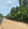LÔ ĐẤT SÀO ĐẸP MẶT ĐƯỜNG BÊ TÔNG 42x25m  CƯSUE