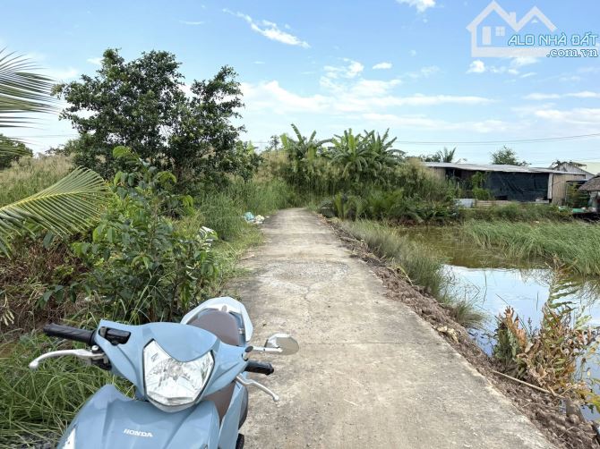 Cần bán 508m2 đất nuôi thuỷ sản, ở ấp 2-3, xã Hiệp Phước, huyện Nhà Bè giá 1 tỷ - 4
