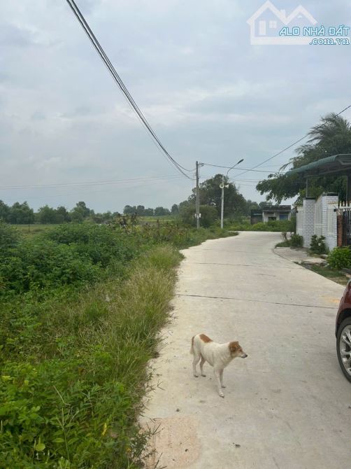 ĐẤT NGỘP! 5m x 26m full thổ cư Tân Bình - TX LaGi 670 triệu gần Biển KDC