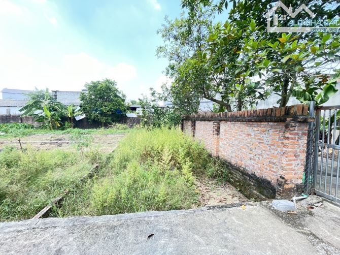 Bán Đất - Đan Tảo(Tân Minh) - 81M2 Full Thổ Cư - 1,85Tỷ