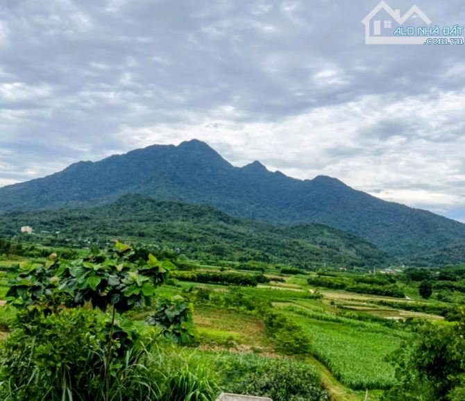 Đất rẻ Minh Quang, Ba Vì, 558m, 150m tc, tựa núi, view đồng, đường oto thông, chỉ 1.55tỷ
