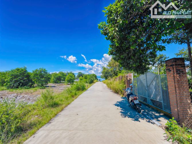 ✨ BÁN ĐẤT - HẺM TRẦN QUANG DIỆU - (20 x 43) - GIÁ 165 TRIỆU/MÉT NGANG 🚗