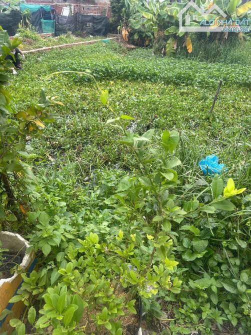 BÁN ĐẤT THỔ CƯ  80 M2– HẺM XE HƠI 6M – GẦN HÀ HUY GIÁP, NGÃ  TƯ GA Q12- 3.8 Tỷ (còn TL)