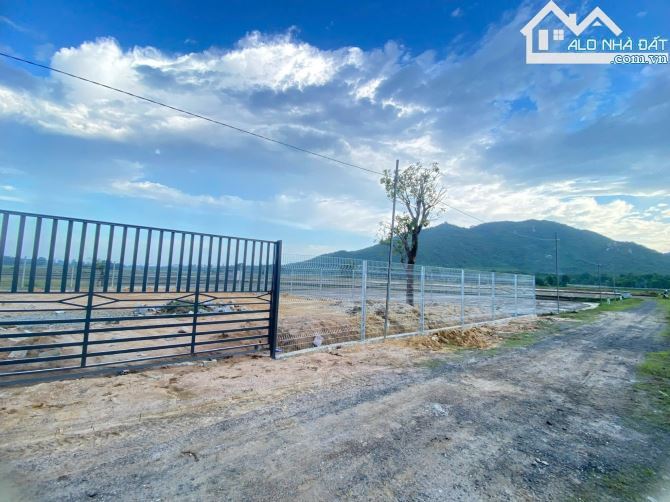 🌅Siêu Vip Gần Biển Phước Hải🌾689m²–300TC–View Núi & Cánh Đồng–Chỉ 4,2 TỶ