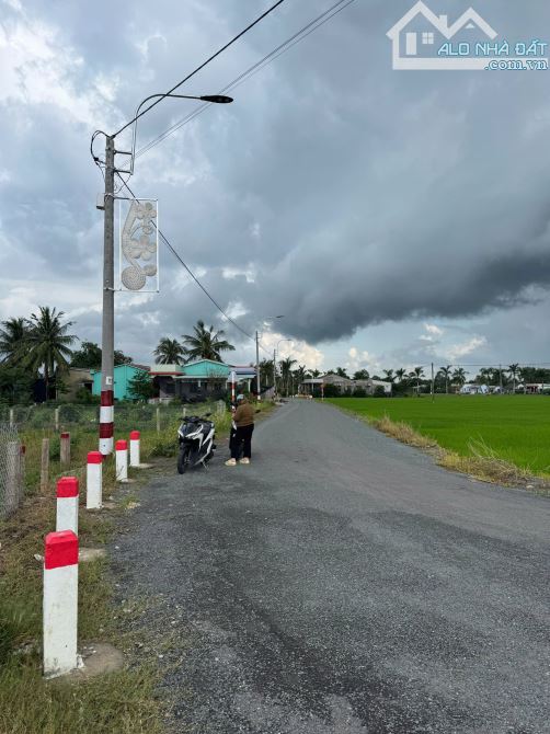 87,2m2 đất thổ vuông vứt sát nhựa 225 triệu tân trụ_Long an giá rẻ đầu tư sổ hiện đường đ