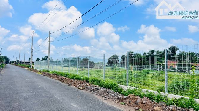 🌟 LÔ ĐẤT GÓC 3 MẶT TIỀN - LONG MỸ - ĐẤT ĐỎ - BRVT