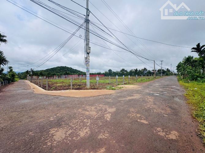 🔥 SIÊU PHẨM GÓC 2 MẶT TIỀN TRỤC CHÍNH KOM LEO – P. TÂN LẬP 🔥 💥 GIÁ RẺ BÈO – CƠ HỘI CỰC