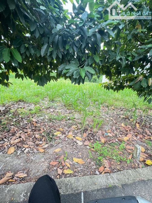 chính chủ cần bán gấp 500m2 sát chợ
