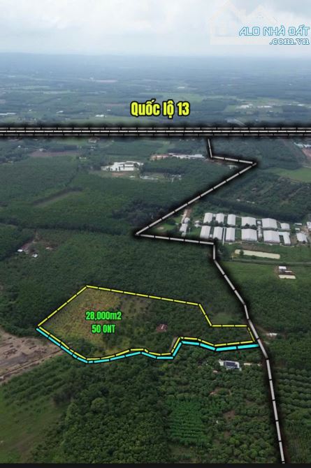 🔥 Bán Nhà Vườn 2,8ha View Suối Đẹp – Có Sầu Riêng, Xoài, Nhà Cửa, Điện Nước Đầy Đủ – Lộc