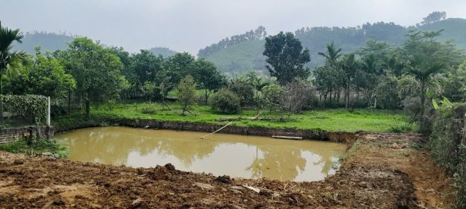 1.216M2 ( 5,5 TỶ ) VIEW CÁNH ĐỒNG TRONG ĐẤT CÓ AO