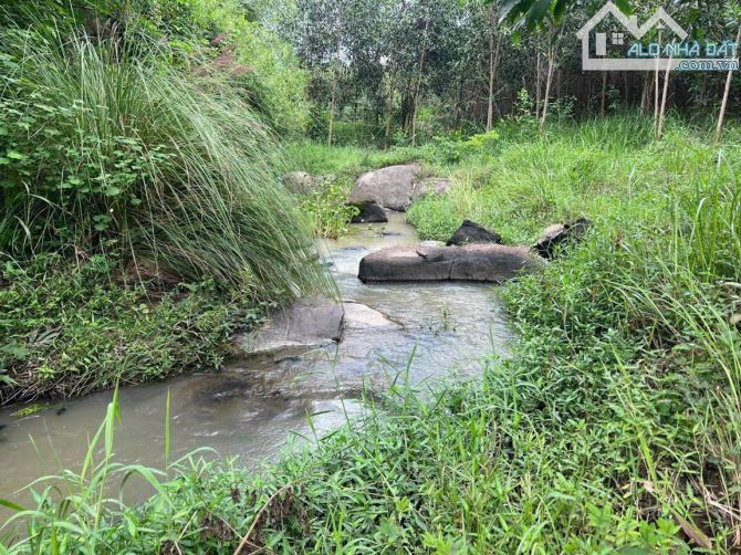 Bán 1000m2 đất giáp suối Ninh Hoà LH:Lê Dân